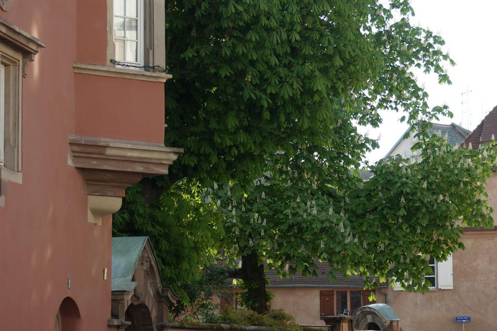 שטרסבורג Quai 17 Maison D'Hotes מראה חיצוני תמונה